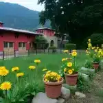 ईरानी तेल पर अमेरिकी प्रतिबंध और चीन के टर्मिनल पर प्रभाव