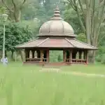 कांग्रेस ने देश का बंटवारा किया, स्वतंत्रता की घोषणा की