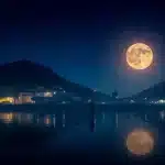 डोनाल्ड ट्रंप ने सर्जियो गोर को भारत में नया राजदूत बनाया