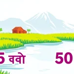 न्यूयॉर्क में यात्री बस हादसा, 5 मृतक और 50 घायल
