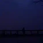 पटना सड़क हादसा ऑटो हाइवा टक्कर 8 मृत 5 घायल