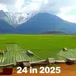 24 अगस्त 2025 मिथुन राशिफल योजनाएं और प्रस्ताव साझा करें