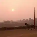आज का मुलांक 3 अंक ज्योतिष 26 अगस्त 2025: आर्थिक परिणाम अच्छे रहेंगे