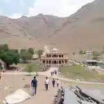 उत्तराखंड के पूर्व मुख्यमंत्री तीरथ सिंह रावत के भांजे का वायरल वीडियो