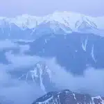 एल्विश यादव के घर फायरिंग के दो शूटर गिरफ्तार हुए