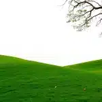 क्या सर्जियो गोर अमेरिका को भारत के करीब लाएंगे?
