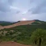 खून से सनी हथेली और विम्बलडन क्वीन का दर्द