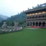 निक्की की मौत में बच्चे की गवाही का महत्व और कानून