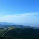 फेमस अमूल गर्ल और शशि थरूर का कनेक्शन क्या है