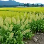 बेटियों के पार्लर से पैसे चुराने वाले दामाद की कहानी