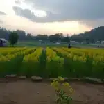 मराठा आरक्षण की लड़ाई में मनोज जरांगे का चलो मुंबई आह्वान