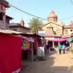 मालिक ने नौकर पर छोड़ा शेर, डर से कांपने लगा वीडियो