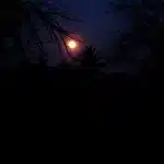 यूपी सरकार ने अंतरिक्ष यात्री शुभांशु शुक्ला को स्टेट गेस्ट बनाया