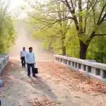राहुल गांधी का बिहार में तेजस्वी पर प्रशांत किशोर का बयान