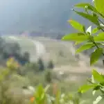 रियल एस्टेट में रिकॉर्ड बिक्री का रहस्य और खरीदार कौन हैं