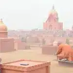 वराह जयंती 2025: महत्व, शुभ मुहूर्त और पूजा विधि जानें