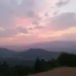 सोनिया गांधी की करीबी ने कहा बांग्लादेशी भारत में रह सकते हैं