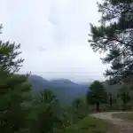 सौरभ भारद्वाज के घर ED रेड पर केजरीवाल-सिसोदिया की प्रतिक्रिया