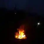 स्कॉर्पियो और बुलेट से निक्की को जलाने का मामला