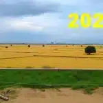 27 अगस्त 2025 सिंह राशिफल: पेशेवर संबंधों में लाभ कैसे मिलेगा
