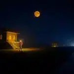 बंगाल चुनाव से पहले बीजेपी की नजर जंगल महल पर