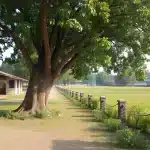 मीन टैरो राशिफल 27 अगस्त 2025: आर्थिक स्थिति और प्रेम संबंध