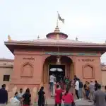 समुद्र तट पर महिला द्वारा आवारा कुत्तों को खाना देने पर विवाद