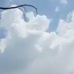 सीबीआई ने आरोपी हेड कांस्टेबल को रिश्वत लेने पर गिरफ्तार किया
