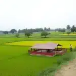 हिंदू राष्ट्र का अर्थ और विश्व गुरु की धारणा पर मोहन भागवत